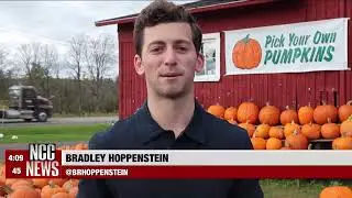 Critz Farms Looks to Rebound After Apple Crop Loss | NCC News