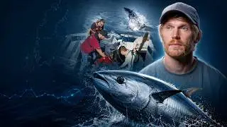 Den ultimata fisken - Fatta forskningen med Gustav Hellstr&ouml;m