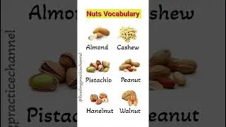 Nuts Vocabulary In English