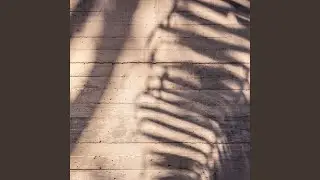 Sandy Wall