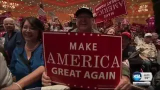 Why were pre-election polls so wrong?
