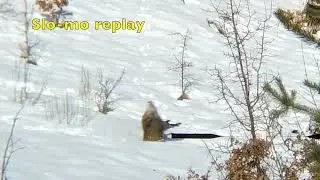 Tactacam vs Triggercam