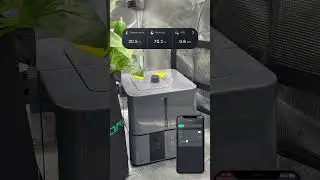 Smart Real-Time Humidity Tracking with Mars Hydro Humidifier & App #marshydro #humiditycontrol