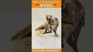 World's most expensive ring 💍 💍/#shorts #rings #expensive / Mohit prajapati