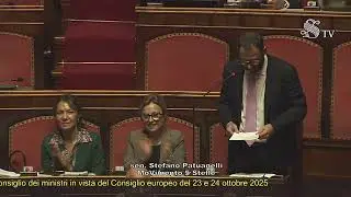Patuanelli - Intervento in Senato (22.10.25)