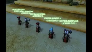 5 Warlocks VS Zul'Furrak (Multiboxing) - WOW Classic