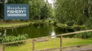 Reepham Fishery Looking & Sounding Beautiful!