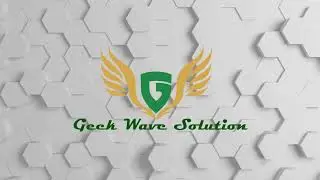 Geek Wave Solution (Intro)