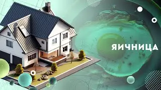 Яичница: быстрый и оригинальный рецепт