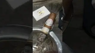 Montecristo White Label #montecristo #cigar #stogie #cigarlife #Dominican