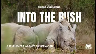 INTO THE BUSH | A Journey for Wildlife Conservation