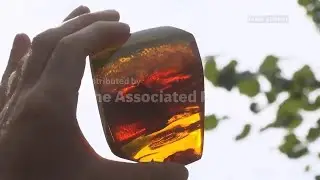Finding happiness in amber: all along the German Baltic Coast, people go hunting for precious pieces
