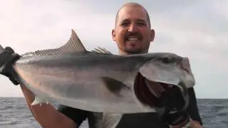 amberjack jigging cape verde sal