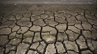 Climate Change Is Systemic Risk says Bernard