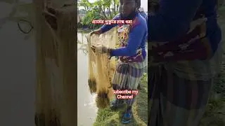 গ্রামের পুকুরে মাছ ধরার মজাই আলাদা #fish #fishing #nature #shorts