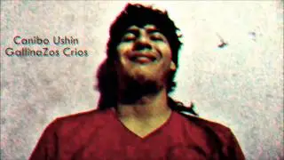 Canibo Ushin - FR2i MC' Gallinazos Crios T L CH O Records Produze' ) 2013
