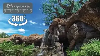 Behind the Tree of Life Trail - Animal Kingdom - 360 4K Video