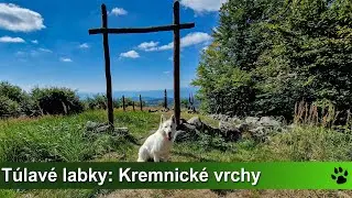 Túlavé labky: Kremnické vrchy - Görgeiho tunel, Skalka, Velestúr, Smrečník