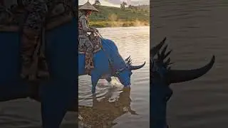 River crossing 🌊 #animals #adventure