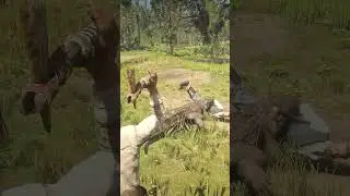 Great Survival Skills vid428