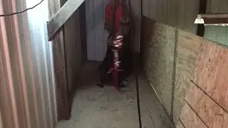 K9 Attic Deployment System