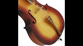 VIOLONCELO ROLIM