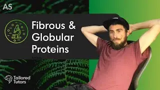 Fibrous & Globular Proteins | A Level Tutorial