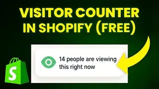How to Add Visitor Counter in Shopify (FREE & EASY)