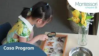Casa Montessori