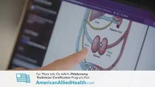 Phlebotomy Technician Certification - American Allied Health | Convenient Online Certification