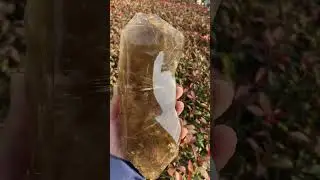 Rutile quartz☺️☺️#rutile_quartz#rutile#crystal#crystalhealing#crystalshopping#crystallover#crystals