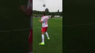 STEFAN ILSANKER SHOWEINLAGE