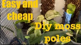 PLANT CHORES // EASY DIY, CHEAP MOSS POLES MAKING AND REPOTTING