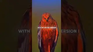 #anivlogs #youtubeshorts #cricket #attitudestatus #shorts