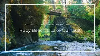 OLYMPIC NATIONAL PARK - Ruby Beach & Lake Quinault!