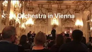 Schoenbrunn Palace Concert in Vienna | Schloss Sch&ouml;nbrunn Konzerte #orchestra #vienna
