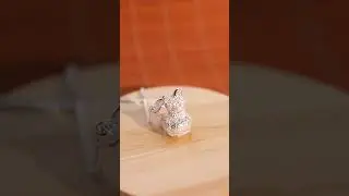 Carry Your Good Luck with You