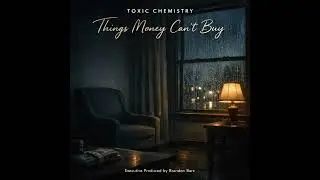 THINGS MONEY CANT BUY - TOXIC CHEMISTRY ( Official Audio )