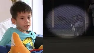 6-year-old boy attacked by coyote during sister's softball game in Southern California
