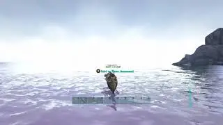 ark row row row your boat