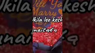Mr Given _#mrgiven #love#lyrics#alikiba #mbosso#marioo#doyy official #diamondplatnumz#bingoonlinetv
