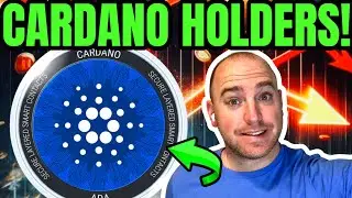 ADA Holders Need To See This Cardano Chart!