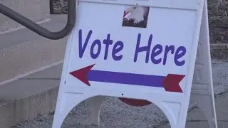 Illinois voters offered an early opportunity to skip March primaries