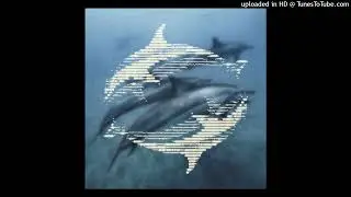 manuary - pifia