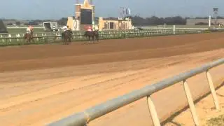 Lone Star Park 04