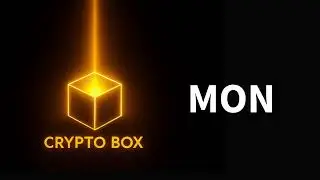 Monad (MON) - Infrastructure (L1, Parallel EVM)