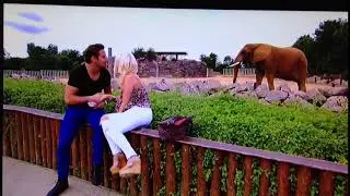 TOWIE  Danielle Falls Into A Bush!