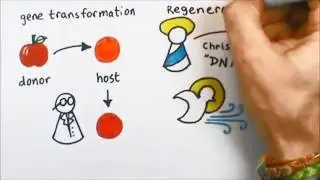 3 Minute Theology 4.2:  What is Regeneration?