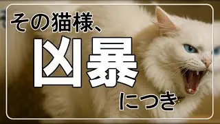 その猫様、凶暴につき #3　#ARGゲーム #大人の深夜枠 #ホラー