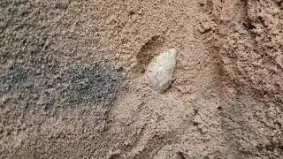 Just a quick find